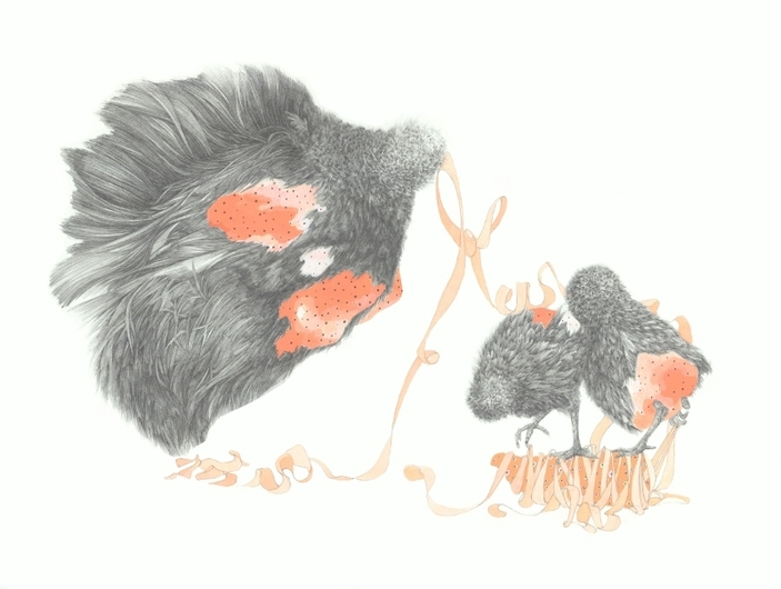 Jillian Dickson  Color Pencil, Gouache, Charcoal Drawings: "ETHICAL FARMING" 2010 - Present Graphite, Gouache, Acrylic on Paper