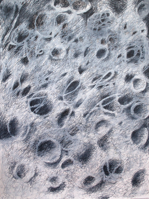 "Consequences" Jill Kirschen Works on Paper Oil Stick and Graphite