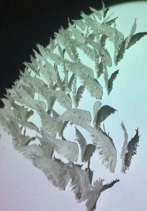 United with video overlay - Still United - Process porcelain,nails, video still