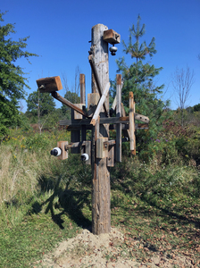 John T Adams A site-specific sculpture - "Alley Arms" Found (utility pole) Objects