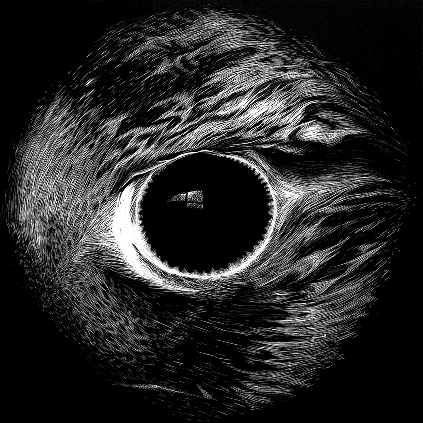 Peregrine JON WINDHAM EYES