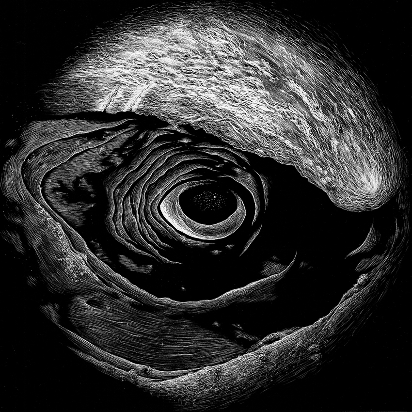 Right Whale JON WINDHAM EYES
