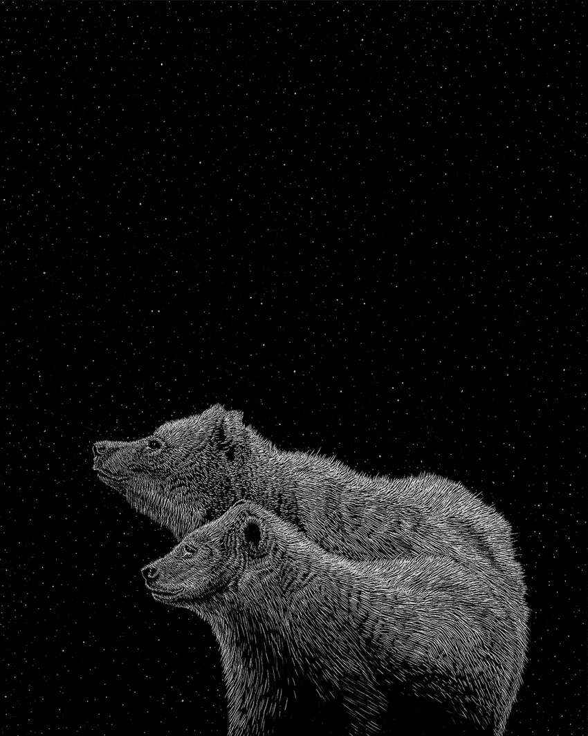 Ursa JON WINDHAM SGRAFFITI