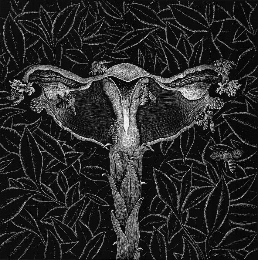 Utera Flora JON WINDHAM SGRAFFITI