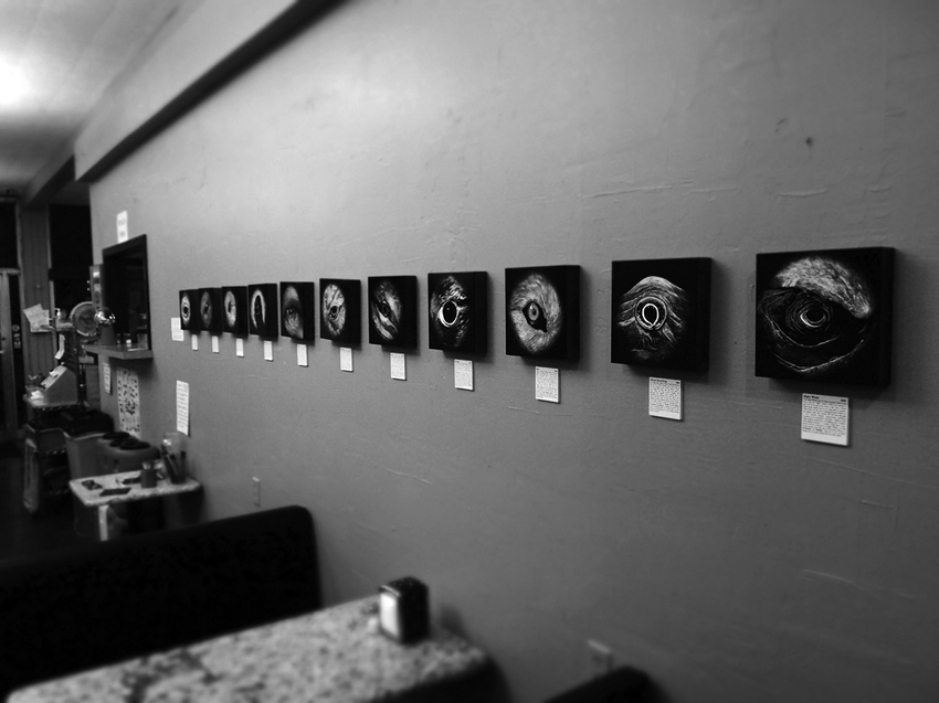 Exhibition view, 2010 JON WINDHAM EYES