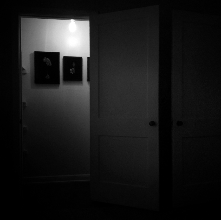 Exhibition view, 2016 JON WINDHAM SCION