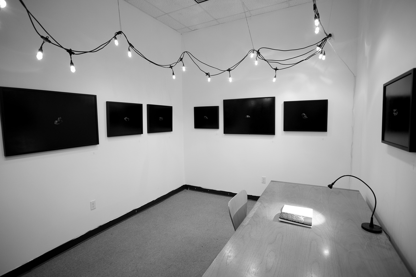 Studio exhibition view, 2016 JON WINDHAM PENETRALIA