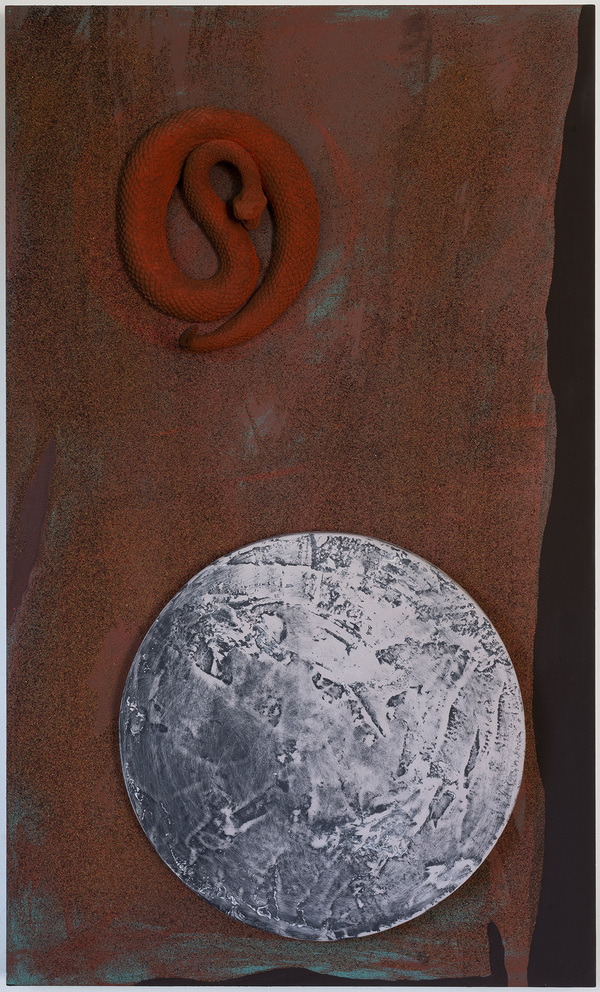 Untitled (snake) Jon Marshalik 2017 synthetic polymers, sand, disk, and rubber snake on panel