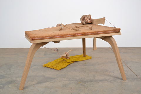 Ruiner Josh Johnson Hedge Speak found particleboard, sassafras, hackberry, quartz crystal shards, stones, found dry line string, found carpet