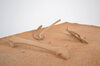 Carousel artwork image 767
