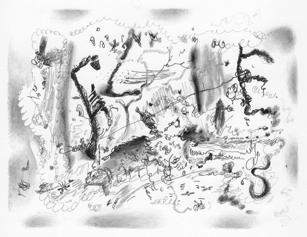 Flies, 2015. Graphite on clay-coat paper, 5 x 7.5 inches Drawings, 2015