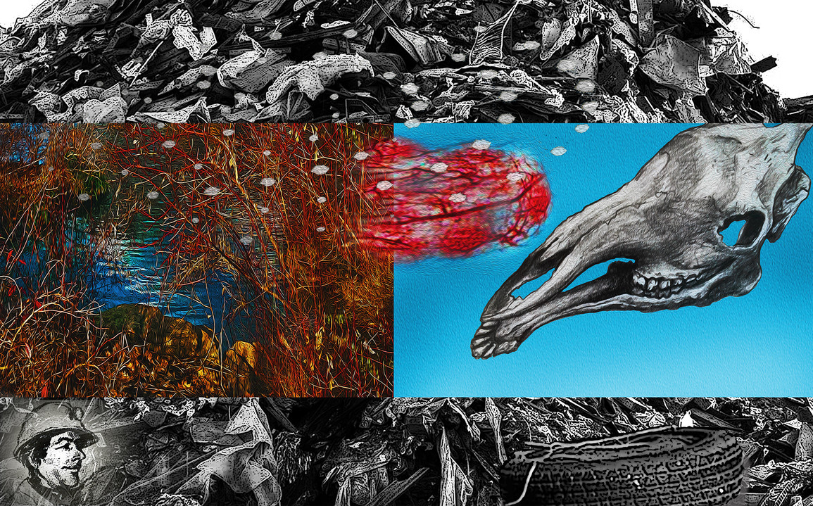 Solute Judith Ostrowitz Works on Plexiglas 2010 - 2017 Digitiized imagery on Plexiglas