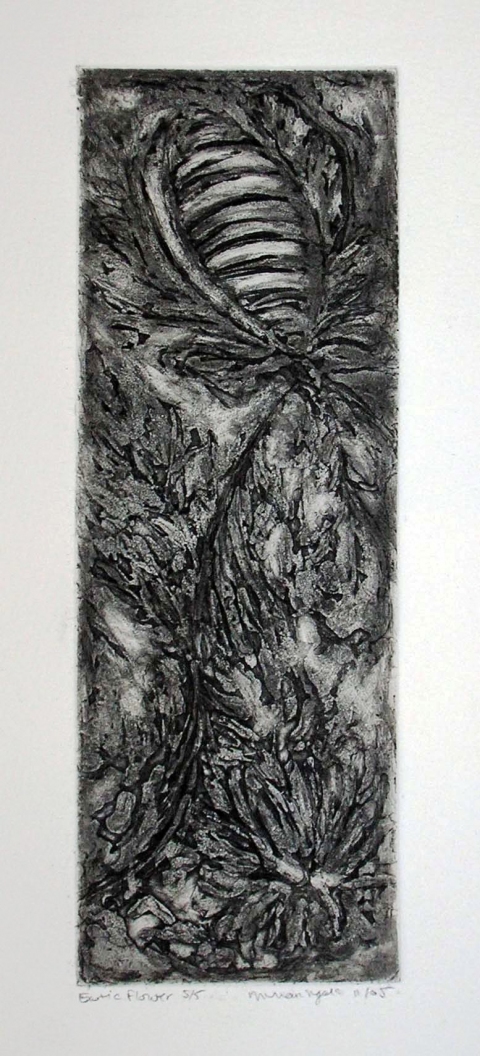 Intermediate Intermediate and Advanced Printmaking Tonal Etching