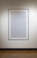 JULIE WEBER The Permeation of Light unfixed photographic emulsion on wall