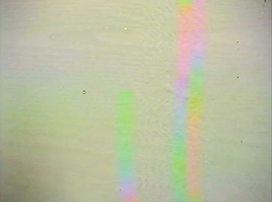Gold on White, 2012 VIDEO