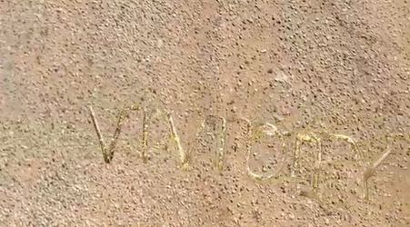 Vividity, 2017 VIDEO