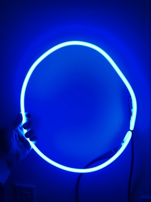 Cobalt Egg, 2018 NEON Los Angeles, CA