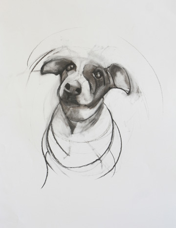 Maddie Drawings Charcoal on paper