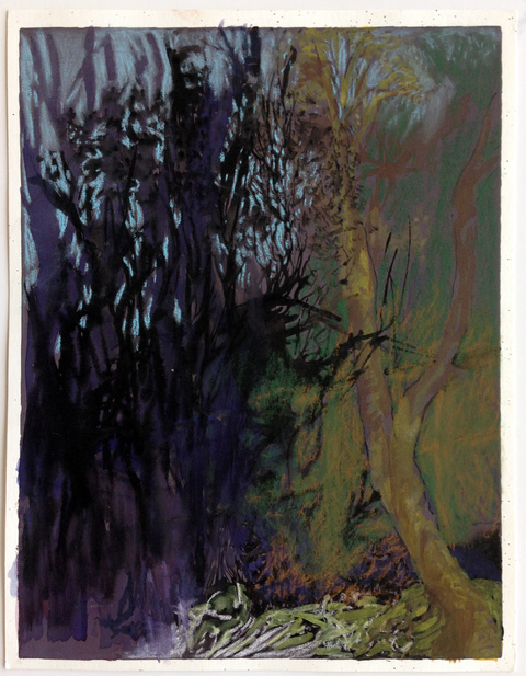 "Black Woods" Narratives #3 Ink, watercolor, pastel on tinted paper