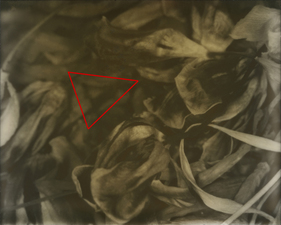 laura p krasnow the_shortest_distance_between_2_points Polaroid and Digital Photograph printed on Photo Tex