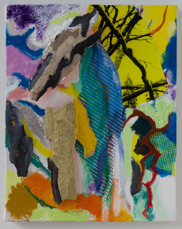 Mountain Eyes Mixed Media Painting Acrylic on canvas, mesh, photo prints, bark, sand
