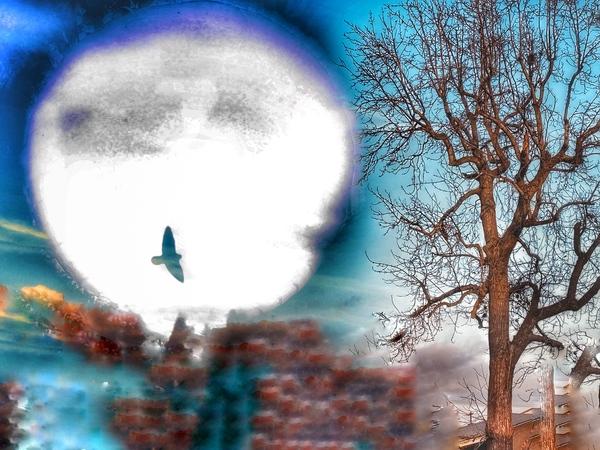 home page slide show art work