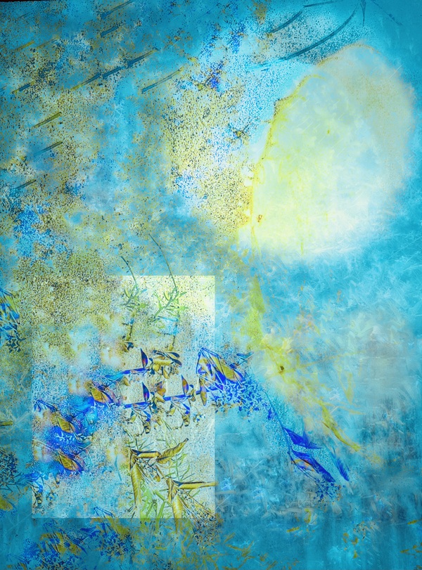 The Tidal Garden: Tropical Light Licensing Portfolio