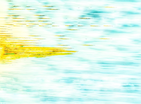 The Tidal Garden: Sandbar Glow Licensing Portfolio
