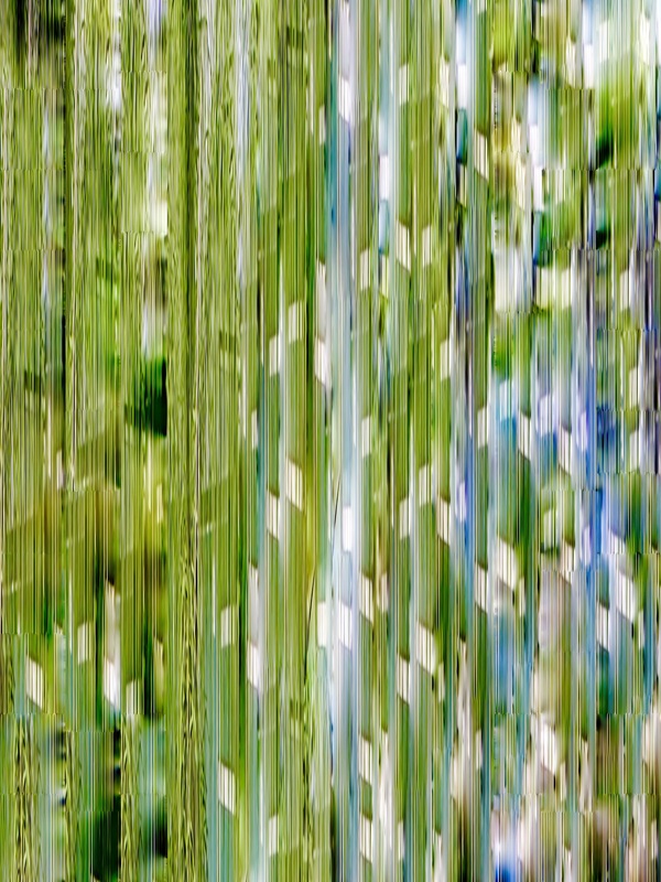 The Tidal Garden: Young Palms Licensing Portfolio