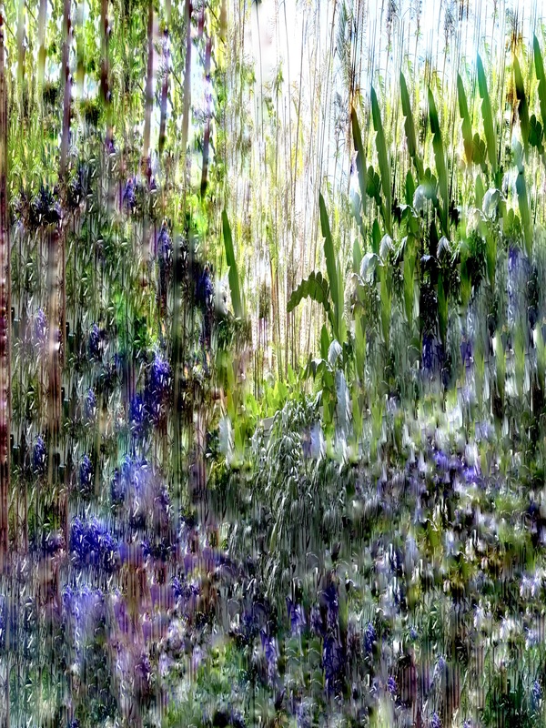 The Tidal Garden: Wild Flowers Licensing Portfolio