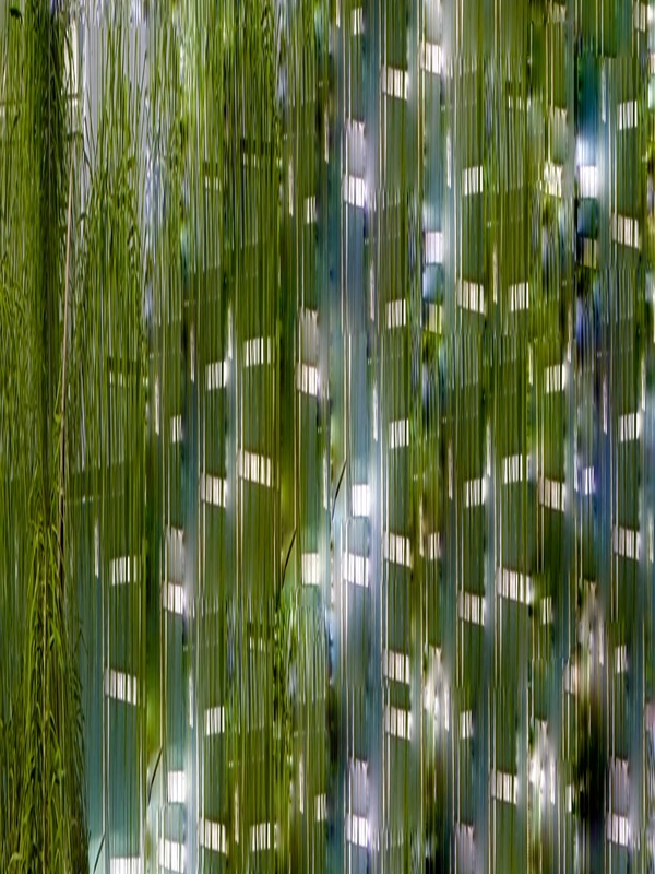 The Tidal Garden: Tropical Shade Licensing Portfolio