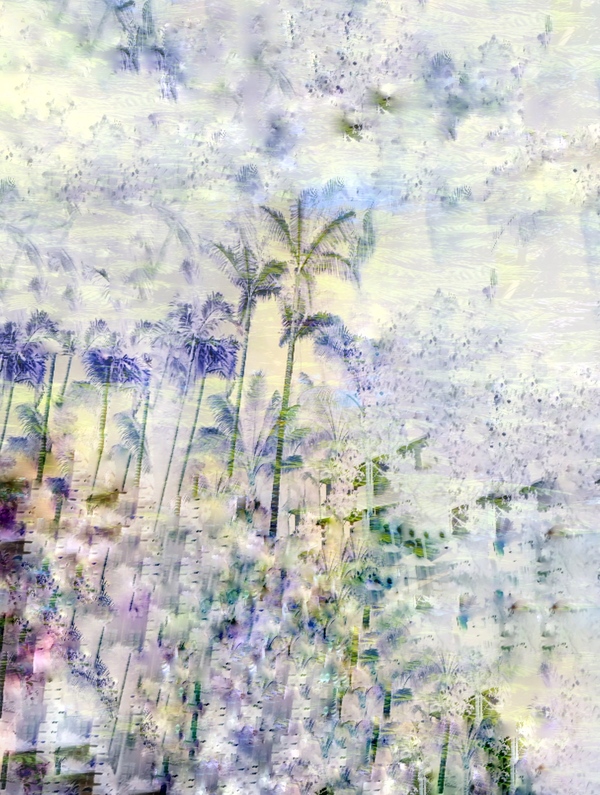 The Tidal Garden: Tropical Palms Licensing Portfolio