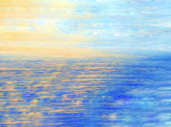 The Tidal Garden: Evening Tide Licensing Portfolio
