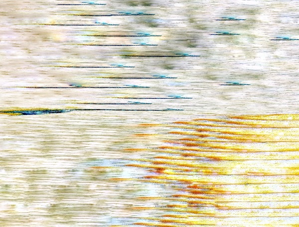 The Tidal Garden: The Quiet Current Licensing Portfolio