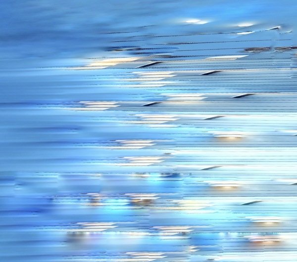 The Tidal Garden: Dolphin Tide Licensing Portfolio