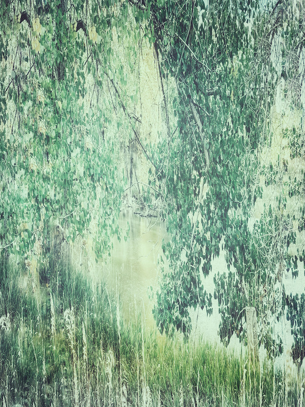 The Tidal Garden: Green Veil Licensing Portfolio