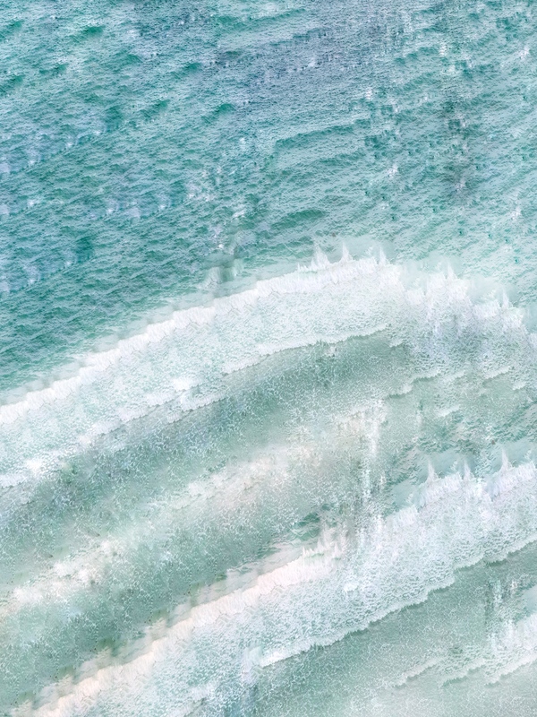The Tidal Garden: Shoreline Licensing Portfolio