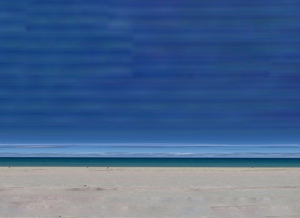 The Tidal Garden: Indigo Shore Licensing Portfolio