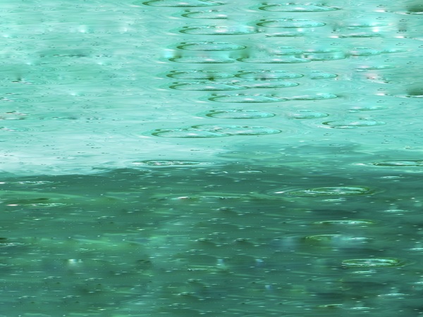 The Tidal Garden: Water Rings Licensing Portfolio