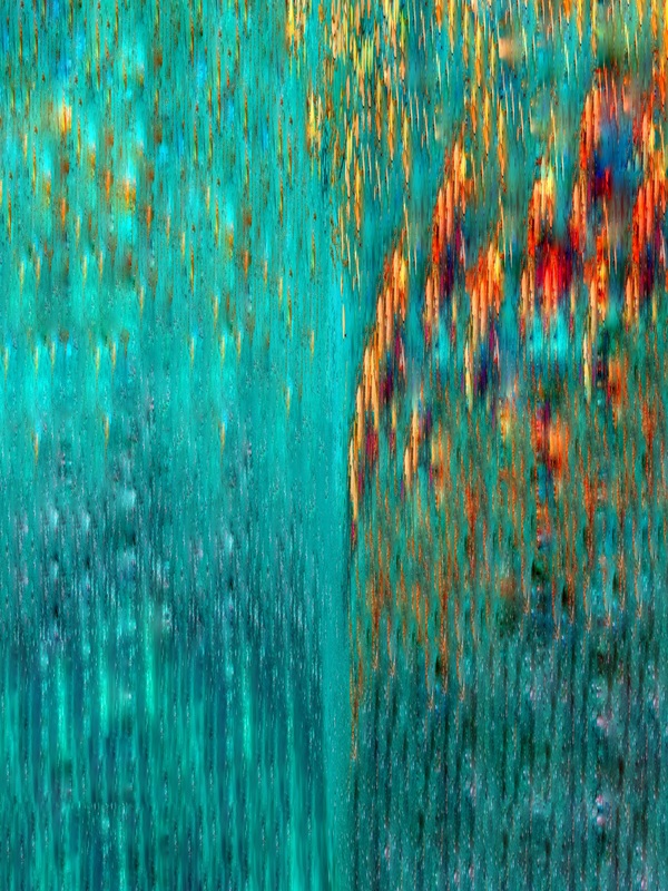 The Tidal Garden: Macaw Licensing Portfolio