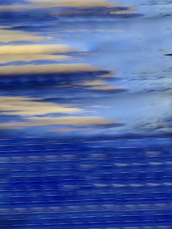 The Tidal Garden: Blue Horizon Licensing Portfolio