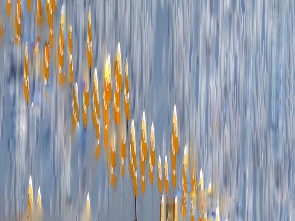 The Tidal Garden: The Regatta Licensing Portfolio