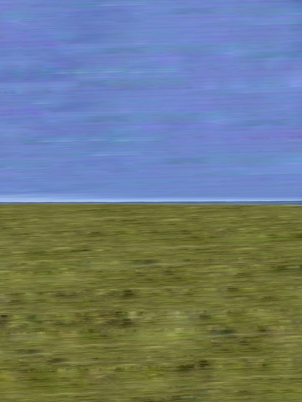 The Tidal Garden: Between Sky and Earth Licensing Portfolio