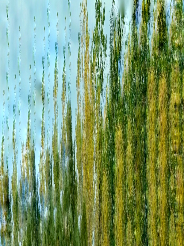The Tidal Garden: Marshlight Licensing Portfolio