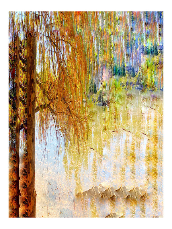 The Tidal Garden: Willow Light Licensing Portfolio
