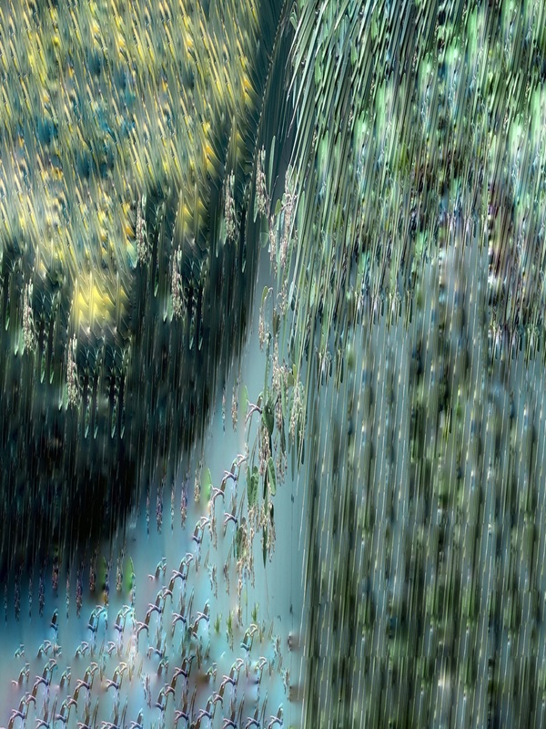 The Tidal Garden: After the Rain Licensing Portfolio