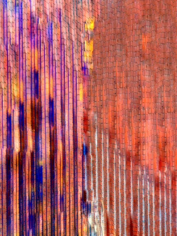 The Tidal Garden; Afterglow Licensing Portfolio