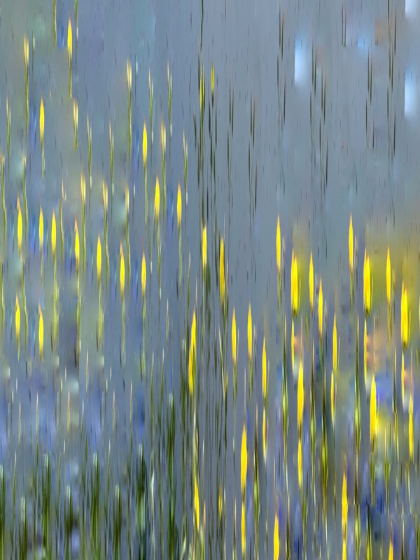 The Tidal Garden: Fireflies Licensing Portfolio