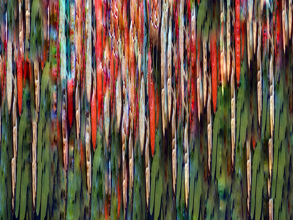 The Tidal Garden: Parrot Jungle Licensing Portfolio