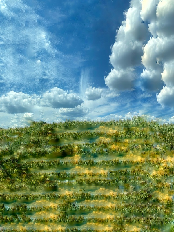 The Tidal Garden: Golden Meadow Licensing Portfolio